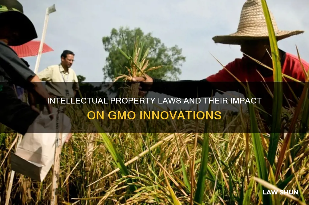 how do intellectual property laws affect gmos