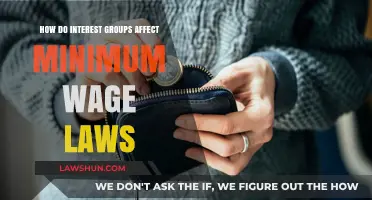 Interest Groups' Influence on Shaping Minimum Wage Legislation and Policy