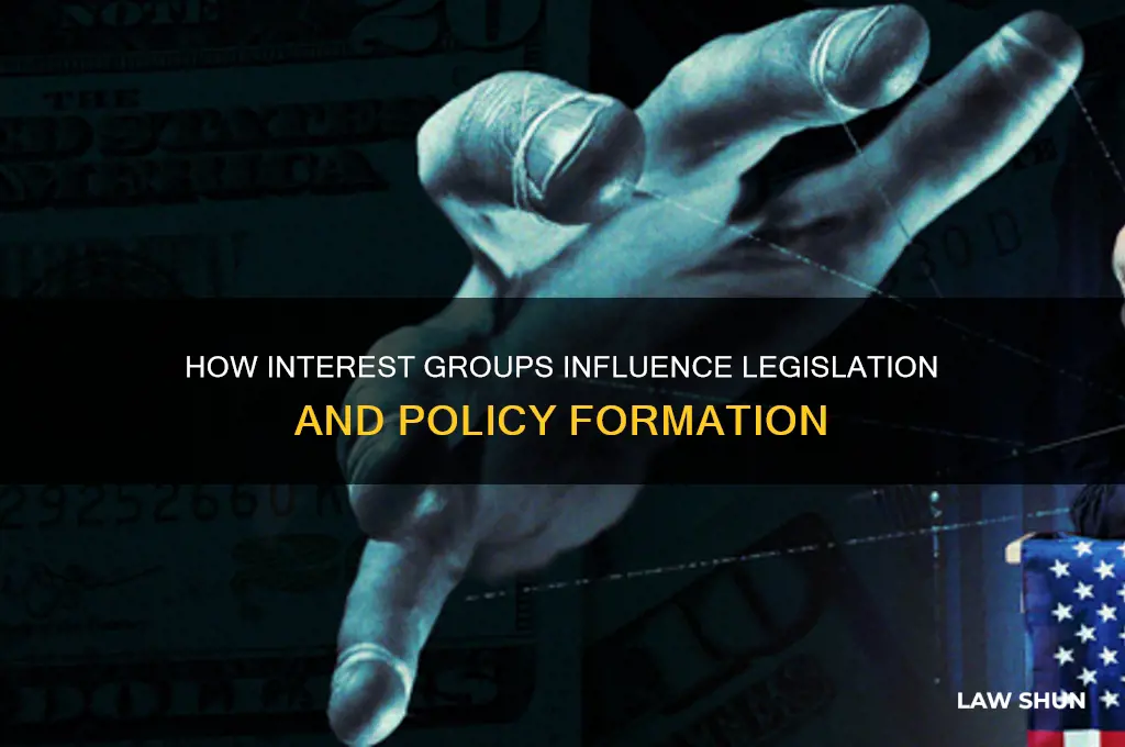 how do interest groups try and shape laws and policy
