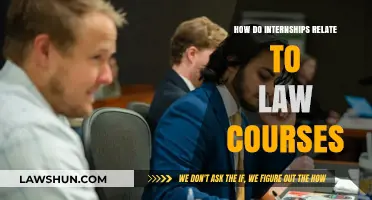 Internships and Law Courses: Bridging Theory with Practical Legal Experience