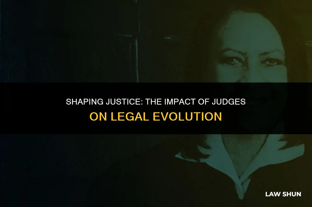 how do judges influence the law