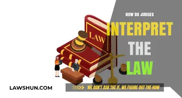 Delving into the Nuances: How Judges Interpret the Law