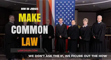 Judges' Role in Creating Common Law