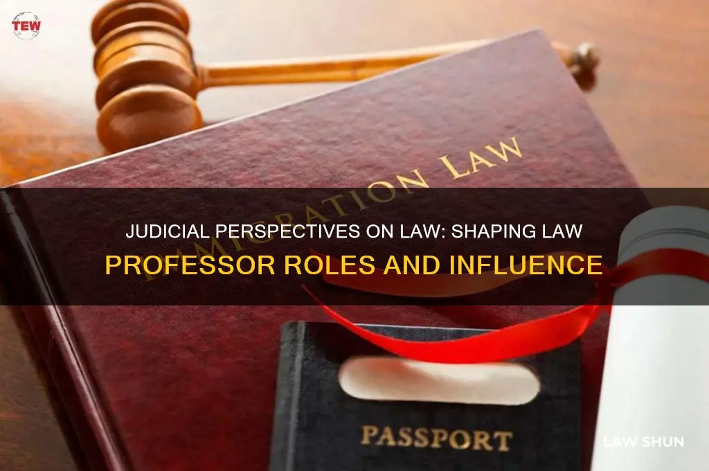 how do judges views of law affect law professor