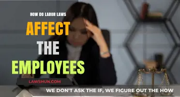Understanding Labor Laws: Empowering Employees and Shaping Workplace Rights