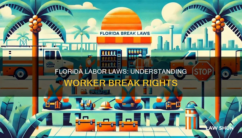 how do labor laws in florida work with breaks