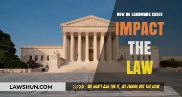 Landmark Cases: Shaping the Law's Evolution