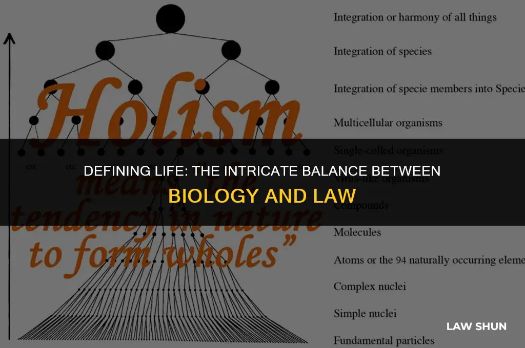 how do law-makers define life