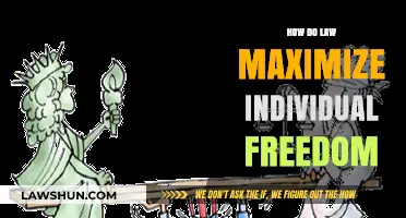 Balancing Liberty and Order: How Laws Maximize Individual Freedom