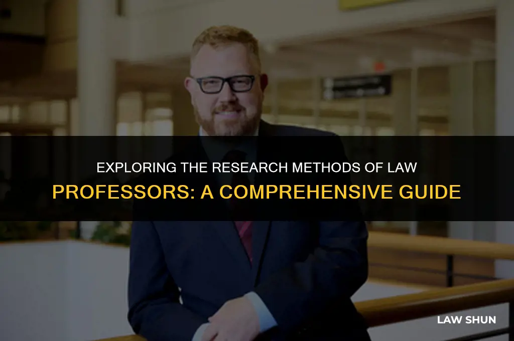 how do law professors do research
