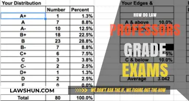 Decoding the Grading Rubric: Insights from Law Professors