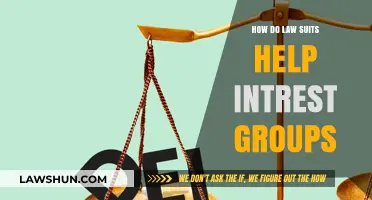 How Lawsuits Empower Interest Groups to Drive Change and Influence Policy
