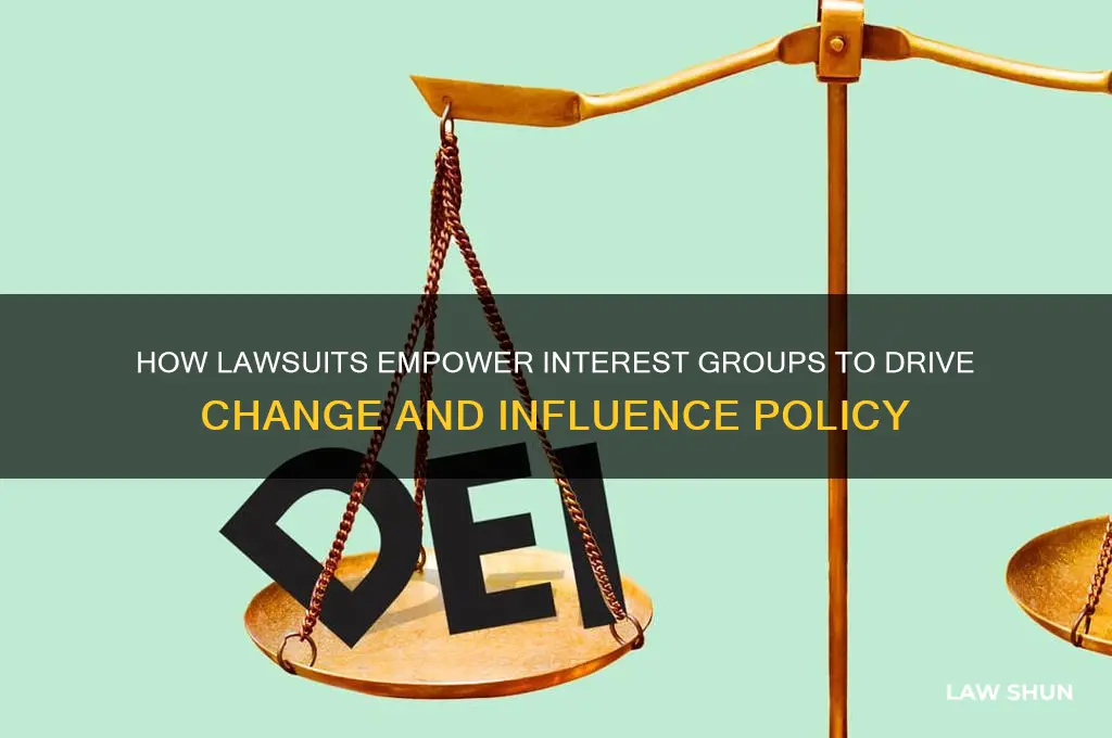 how do law suits help intrest groups
