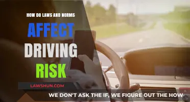 Driving Risk Dynamics: The Impact of Laws and Social Norms