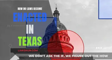 Texas Laws: Enactment Process Explained