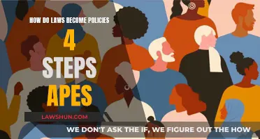 Understanding Law-to-Policy: A 4-Step APES Guide