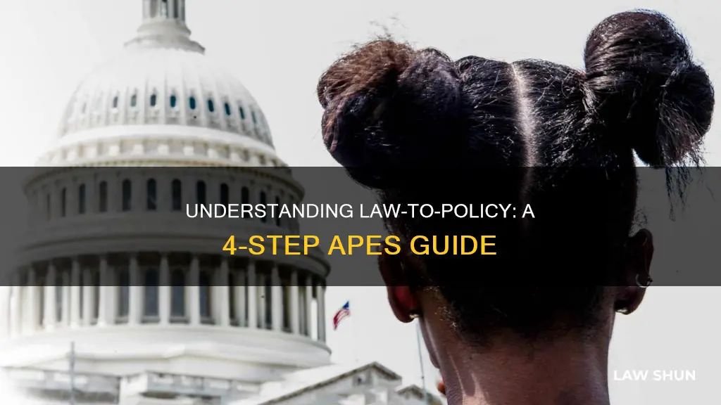 how do laws become policies 4 steps apes