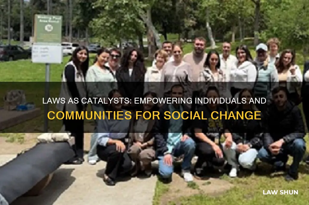 how do laws empower individuals and groups in our society