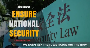 Safeguarding the Nation: The Legal Framework for National Security
