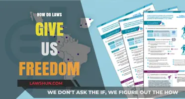Empowerment Through Legislation: How Laws Foster Our Freedoms
