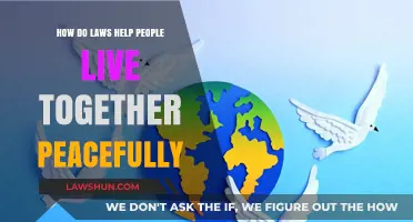 Laws as Peacekeepers: Building Harmony in Diverse Communities
