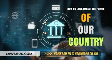 Shaping Tomorrow: The Role of Laws in Our Nation's Future