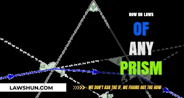 Exploring the Spectrum: How Laws Refract Through Different Prisms