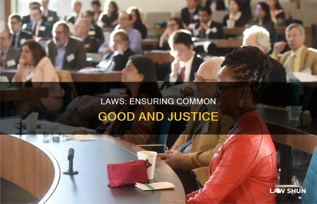 how do laws promote the common good