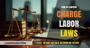 Understanding Lawyer Fees for Labor Law Cases: A Comprehensive Guide