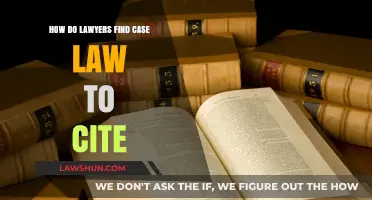 Finding Case Law: A Lawyer's Guide