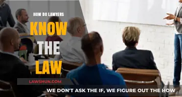 Decoding Legal Expertise: How Lawyers Master the Law