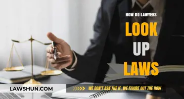 Exploring the Legal Toolkit: How Lawyers Research and Interpret Laws