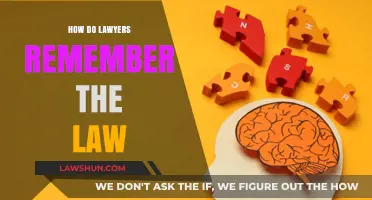 Mastering Memory: Lawyers' Techniques for Remembering the Law