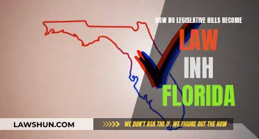 Florida's Path to Lawmaking: Understanding Legislative Bills