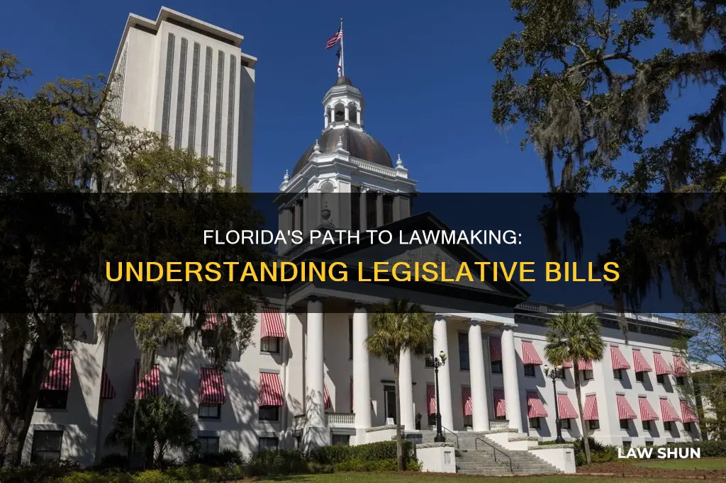 how do legislative bills become law inh florida