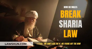 Males and Sharia Law: Breaking the Rules