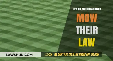 Mathematical Precision: Lawn Mowing Strategies for the Numerically Inclined