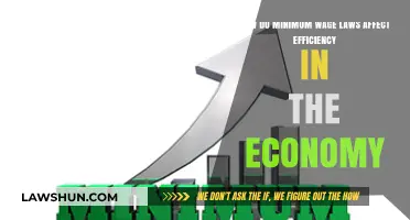 Minimum Wage Laws: Boosting or Hindering Economic Efficiency?