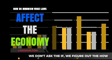 Minimum Wage Laws: Economic Impact and Labor Market Dynamics Explored