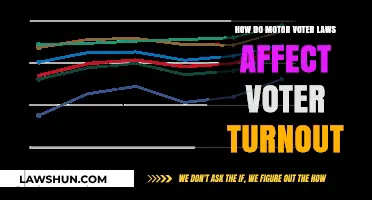 Motor Voter Laws: Impact on Voter Turnout and Civic Engagement