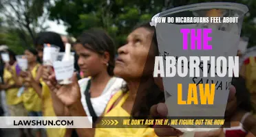 Nicaraguans' Emotional Response to Abortion Law Changes