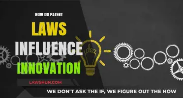Patent Laws: Catalyst or Barrier to Innovation?