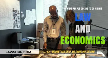 Understanding Criminal Decision-Making: Law, Economics, and Human Behavior Explored