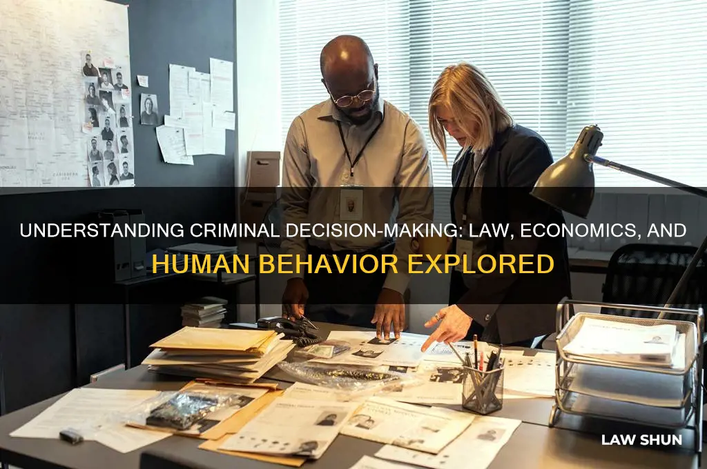 how do people decide to do crime law and economics