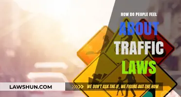 Public Sentiments on Traffic Laws: Opinions, Compliance, and Frustrations Explored