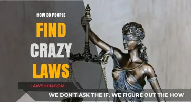 Uncovering Bizarre Legislation: How People Discover Crazy Laws Worldwide