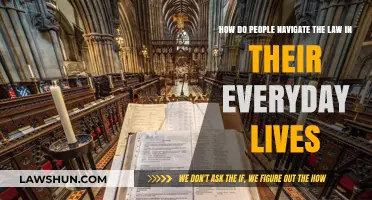 Navigating Legal Landscapes: Everyday Encounters with the Law Explained