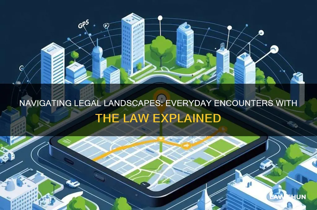 how do people navigate the law in their everyday lives