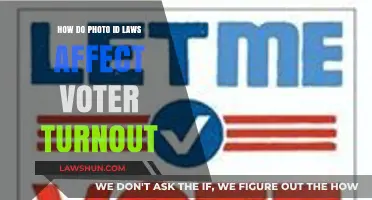 Photo ID Laws and Voter Turnout: Impact and Implications