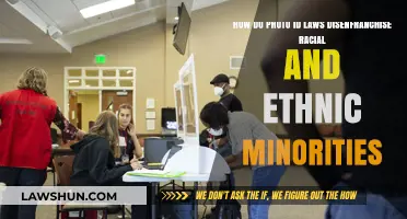 Photo ID Laws: Systemic Barriers to Voting for Minorities